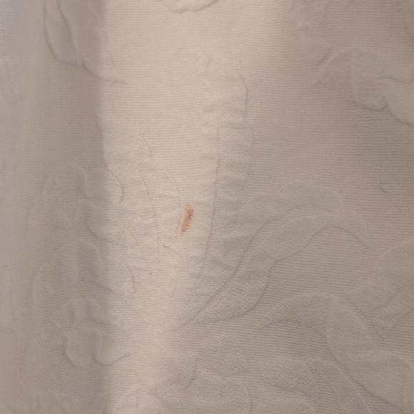 White Eyelet Dress with Ruffle Sleeves - Picture 4 of 5